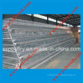 Bird Cage for Hot Sale to Algeria and Africa